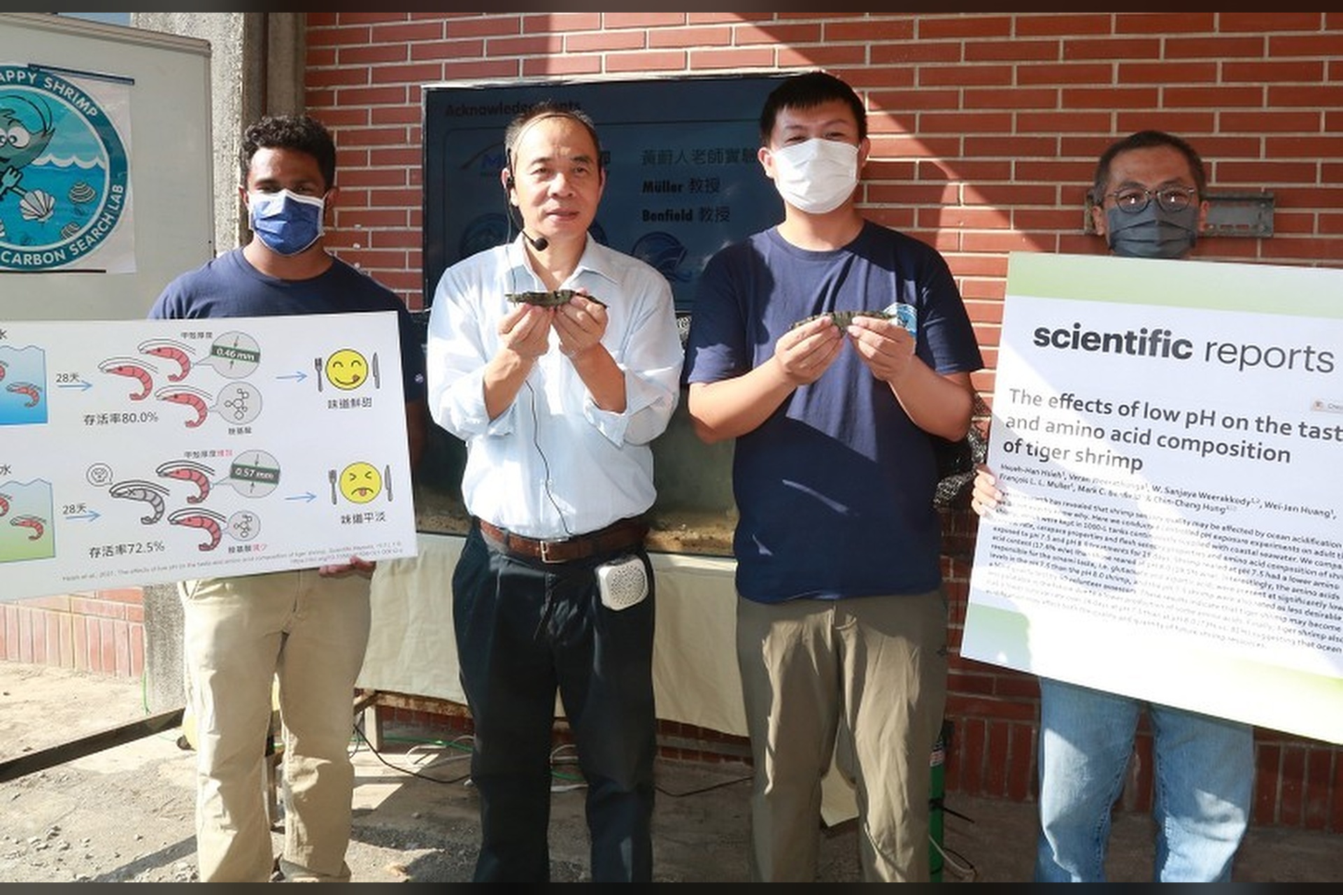 海水酸化讓草蝦營養美味打折