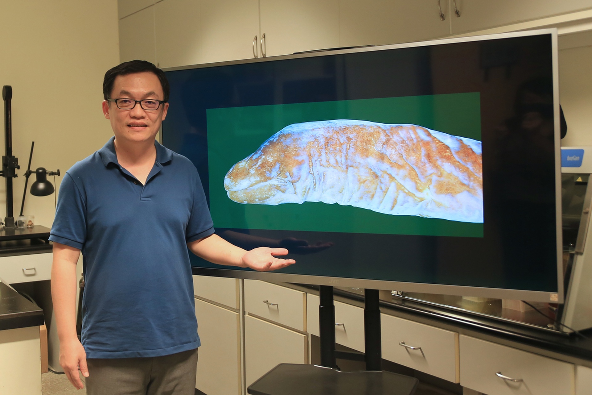 中山大學發現洞穴無眼魚登科學期刊