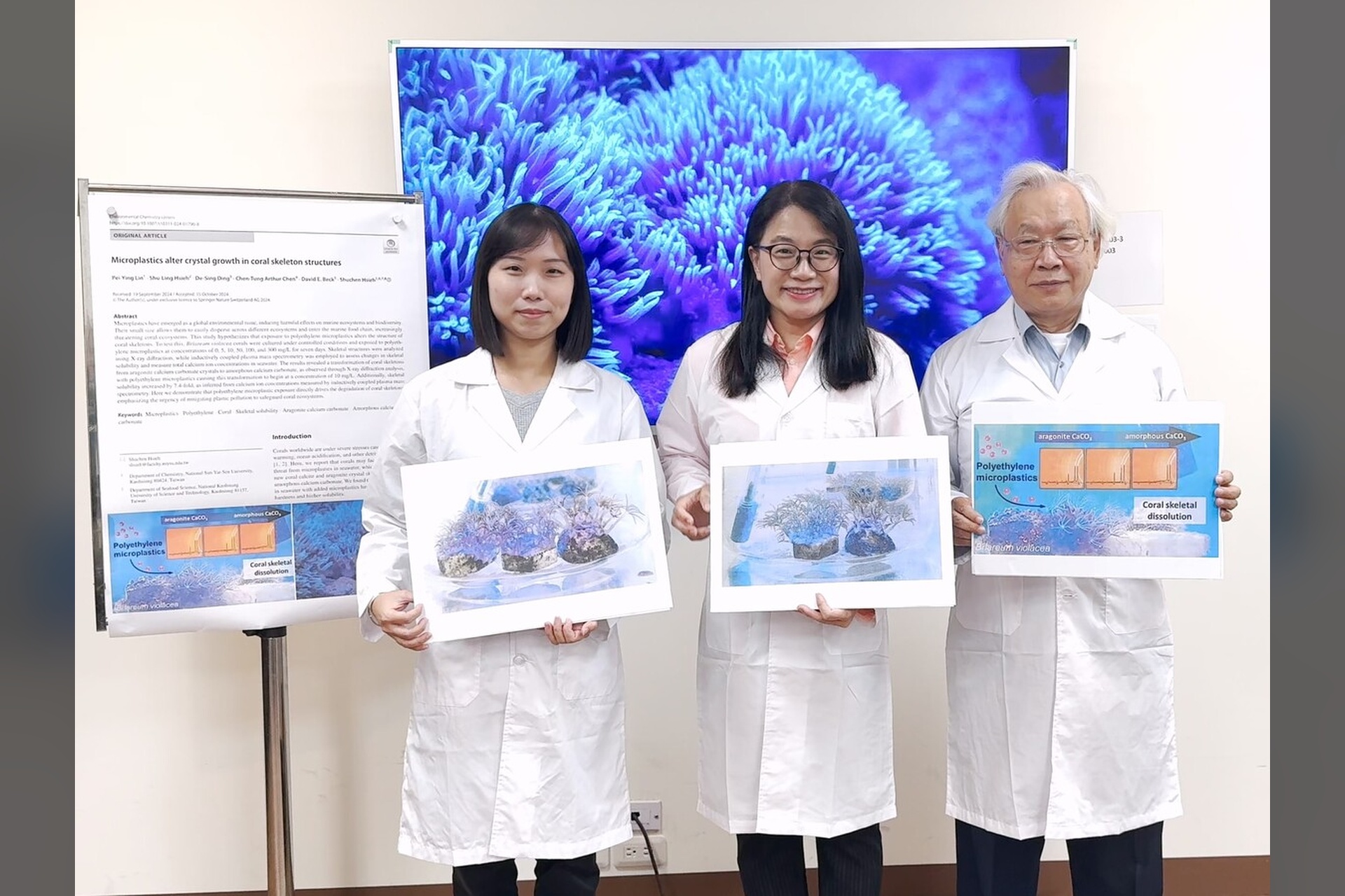 塑膠微粒竟讓珊瑚「骨質疏鬆」！　中山大學最新研究登頂尖期刊